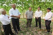 Đoàn cán bộ lãnh đạo TP HCM thăm mô hình trồng cây cao su của tỉnh Điện Biên 